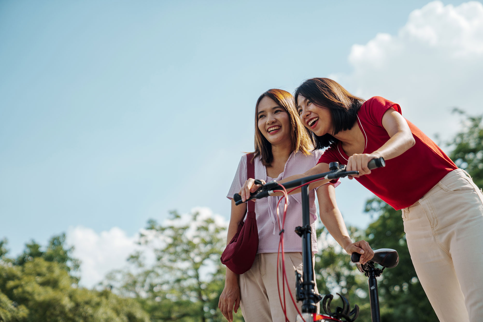 Lorem ipsum dolor sit amet consectetur